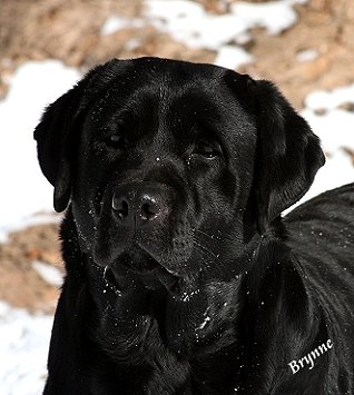 Preton Garbo ~ Garbo