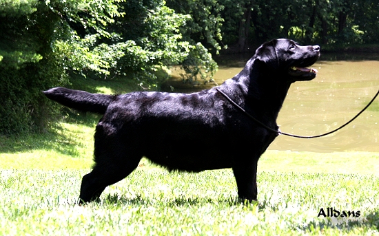 Shadowbrook's Meant To Be At Spring Dell Farm ~ Martha