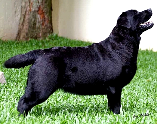 Preton Olga ~ Olga