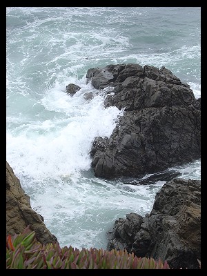 Sea'scape Ranch Walk View