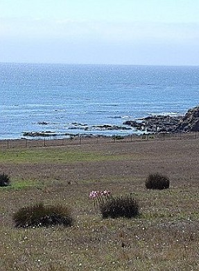 Sea'scape Ranch View